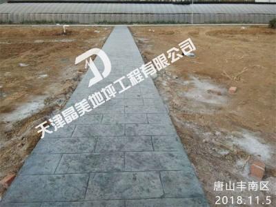 唐山丰南区双坨美丽乡村