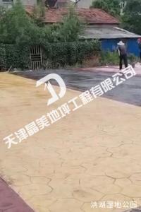 洪湖湿地公园
